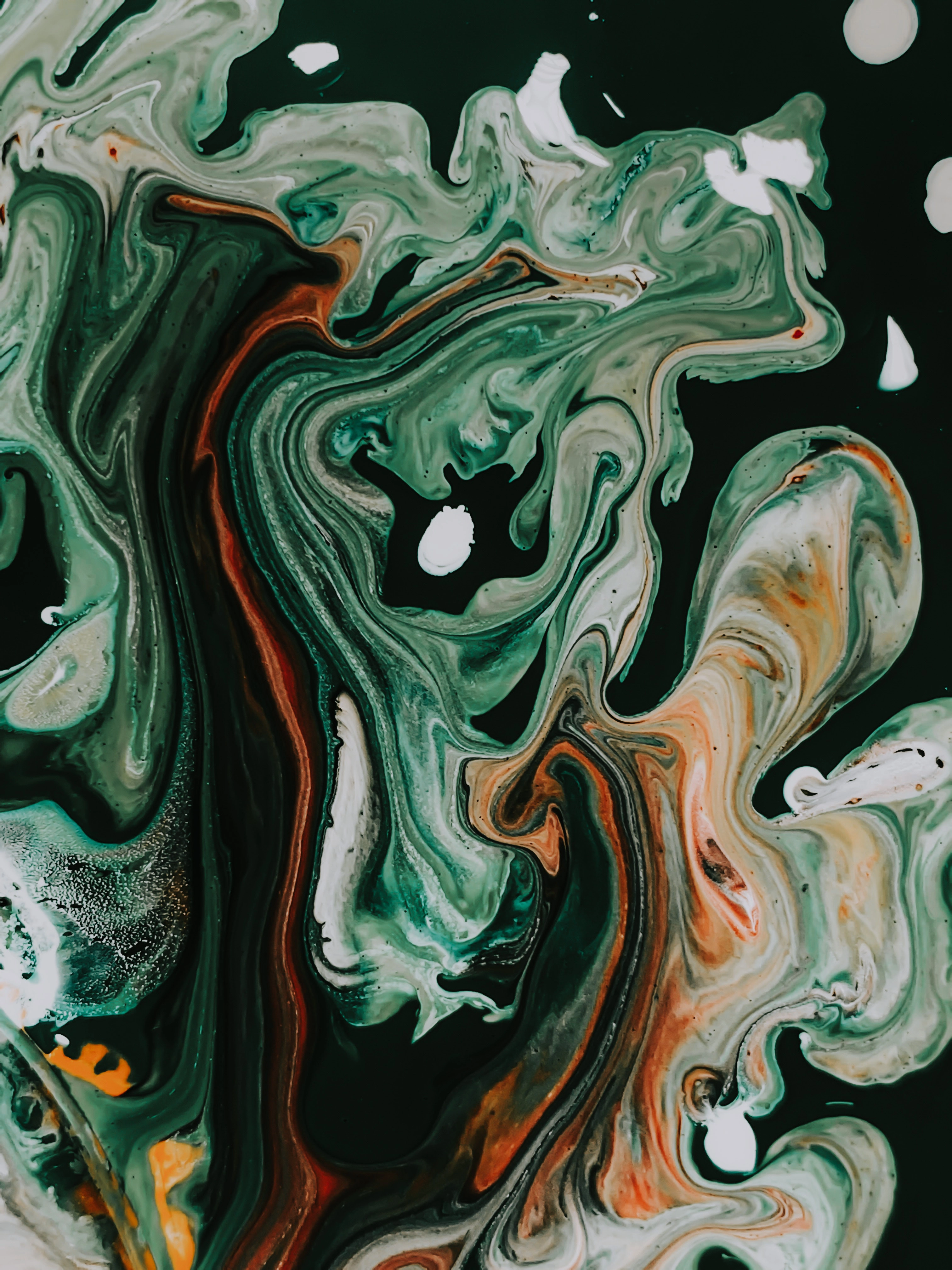 img-fullwidth